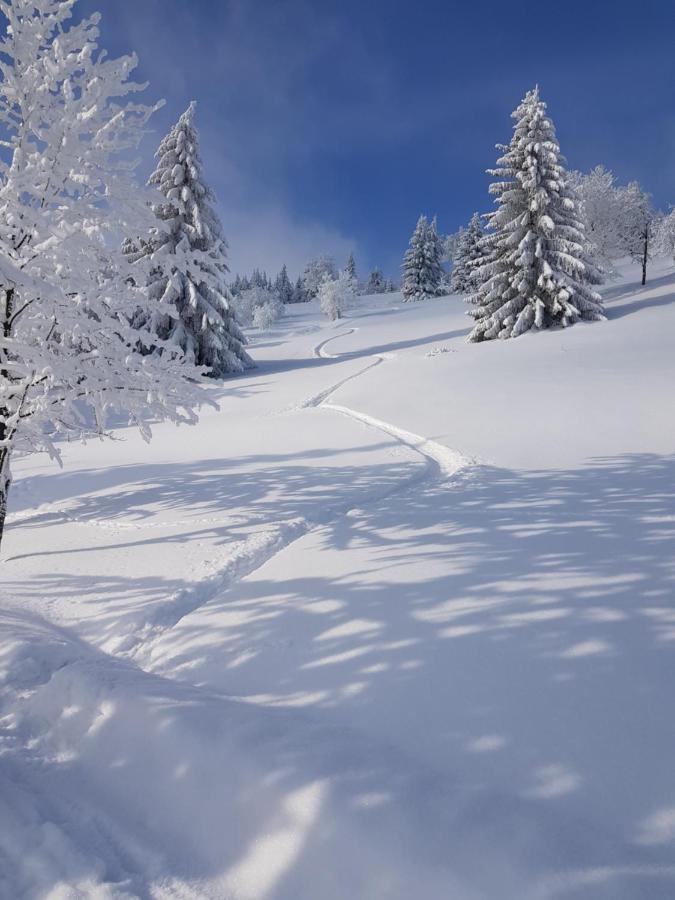 Ferienwohnung Grenzblick Oberwiesenthal Esterno foto